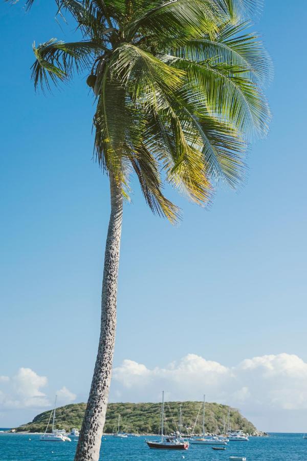 Puertas Bed and Breakfast Vieques Buitenkant foto